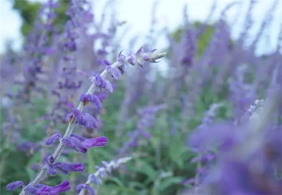 �����������V������������