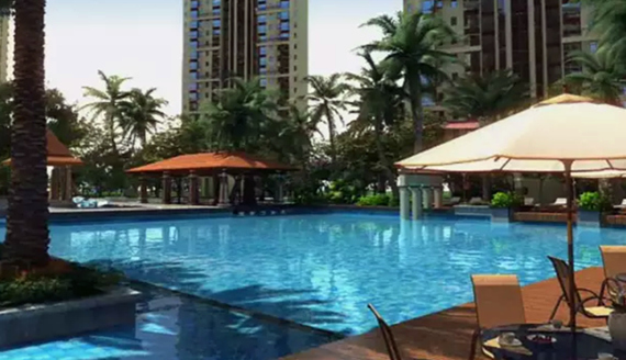 �V������������ �����Ƶ�