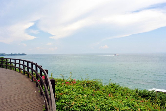 �������������ލu���V������������