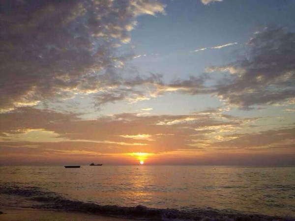 �������������ލu���V������������