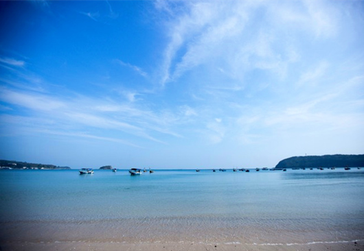 ���ލu�������������V������������