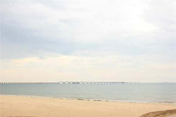 ���ލu�������������V������������