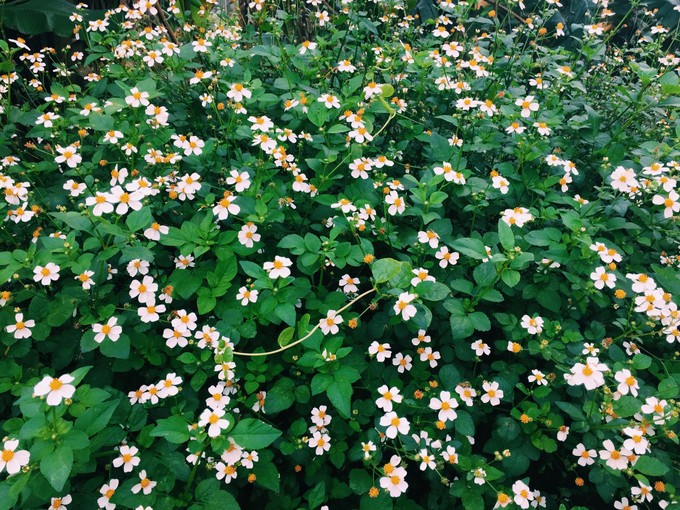 ���ލu�������������V������������