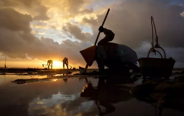 �����������V������������