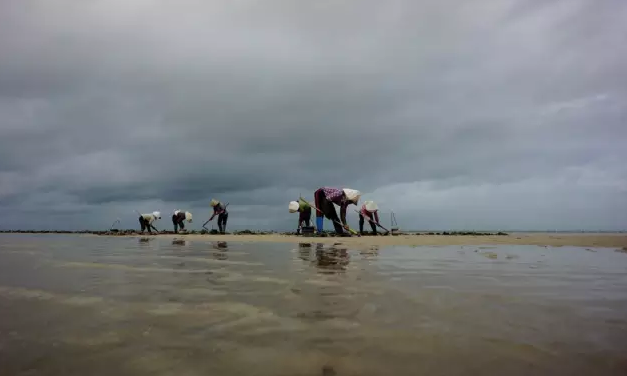 �����������V������������