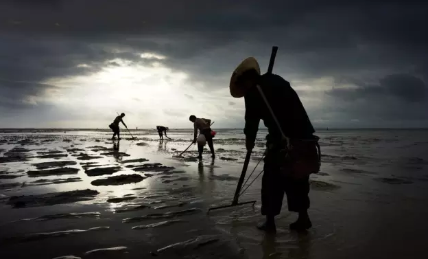 �����������V������������