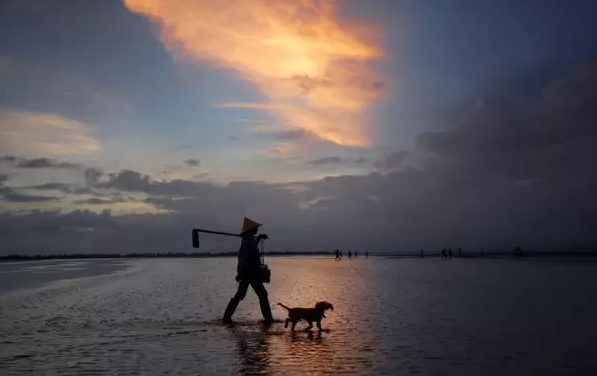 �����������V������������