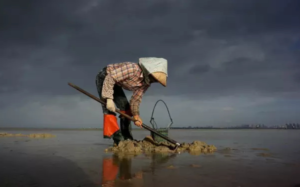 �����������V������������