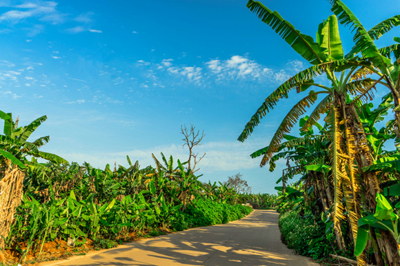 �����������V������������