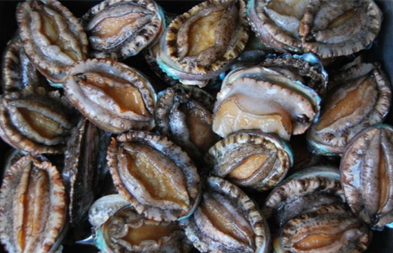 ���������r���V������������