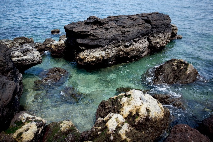 ���������ލu���V������������