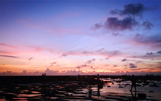 ���������ލu���V������������