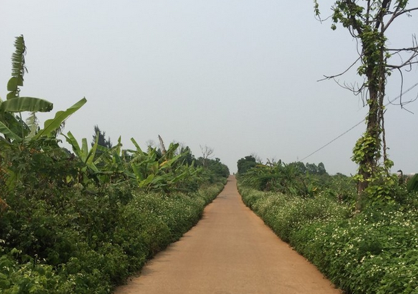 ���������ލu���V������������