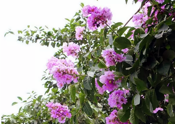 �����������V������������