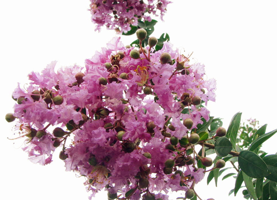 �����������V������������