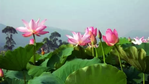 �����������V������������