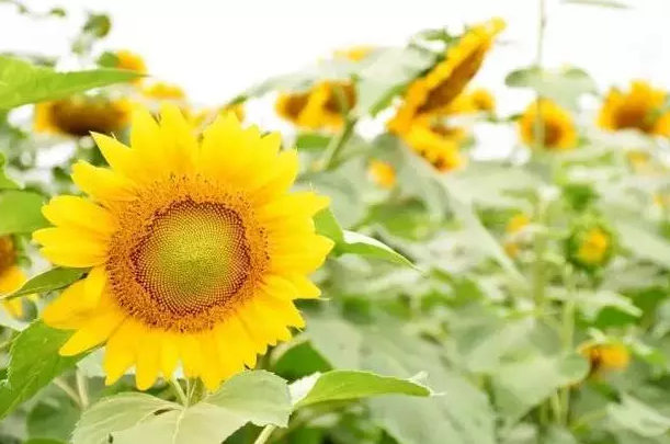 �������Σ��V������������