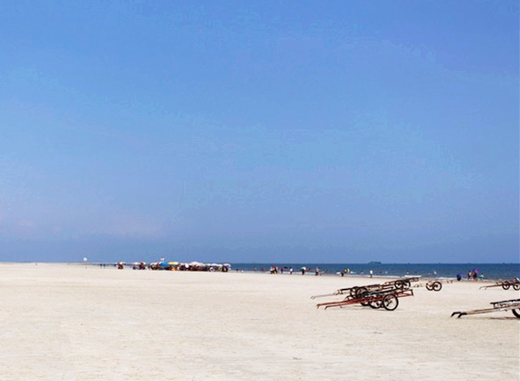 �����������V������������