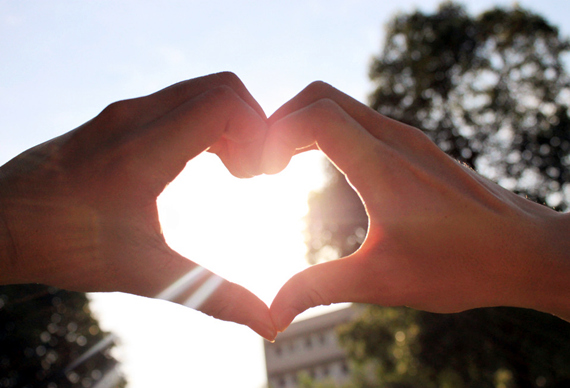 �����������V������������