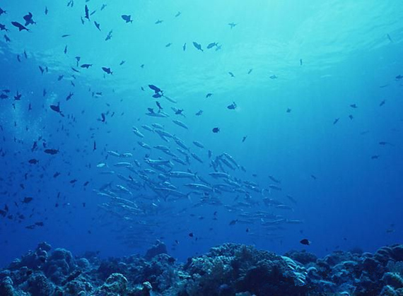 �����������գ��V������������