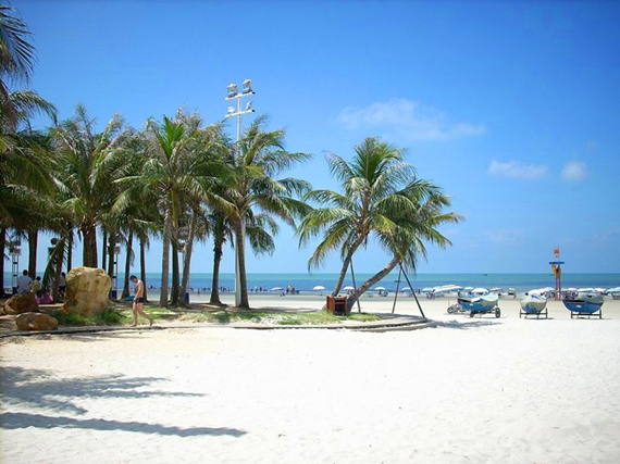 m.taxintong.com/ �V������������