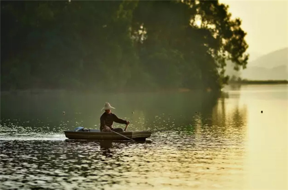 �����������V������������