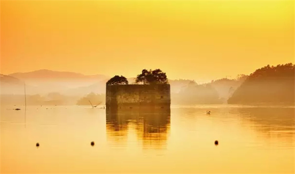 �����������V������������