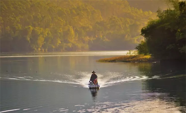 �����������V������������