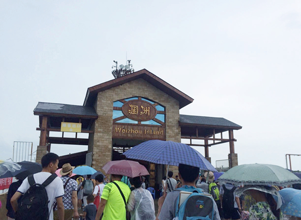 �����������V������������