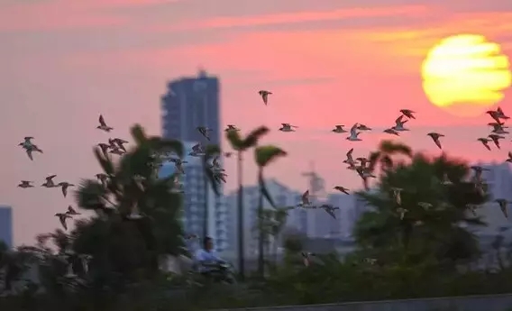 �����������V������������