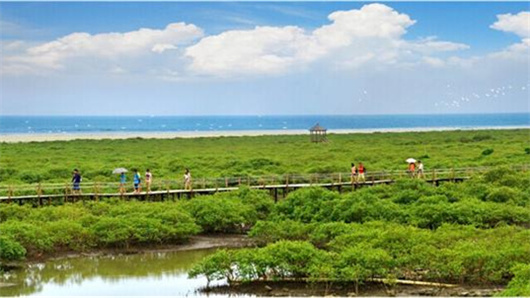 �������V������������