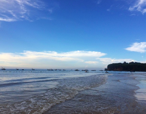 �����������V������������