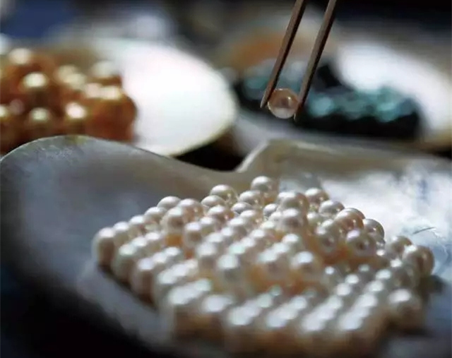 �����������V������������