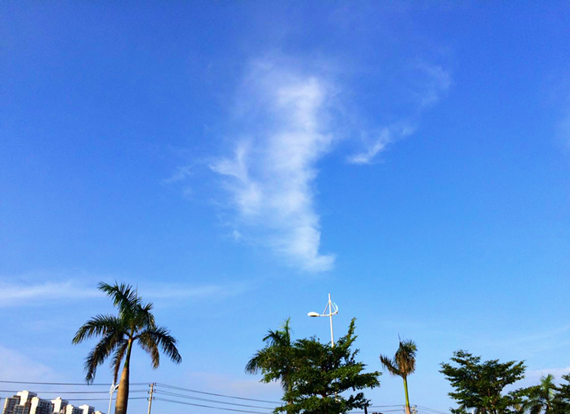 �������V������������