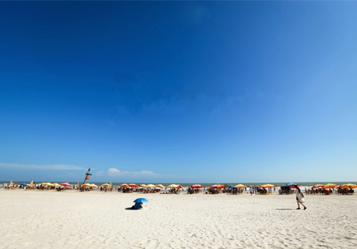 �������V������������