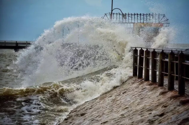 �������V������������