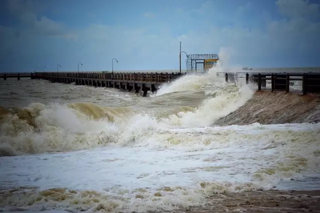 �������V������������