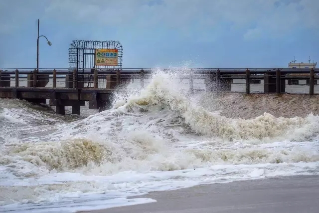 �������V������������