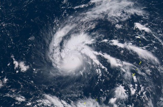 �������V������������