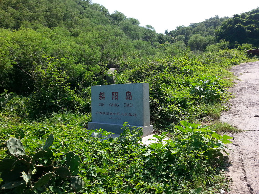 �����������V������������