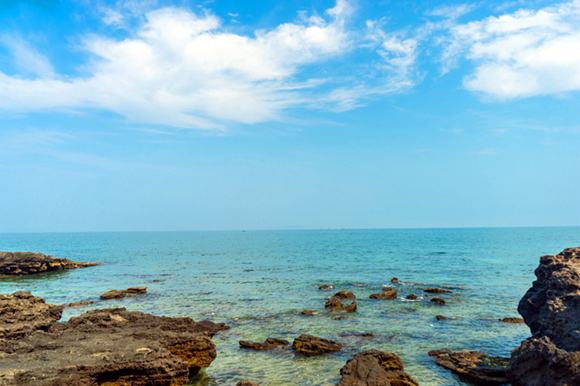 ���ލu�������V������������