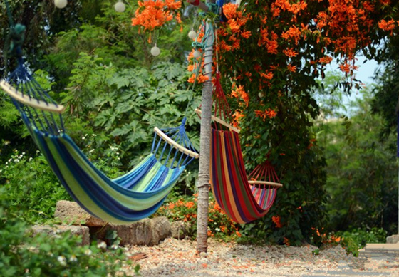 ���ލu�������V������������