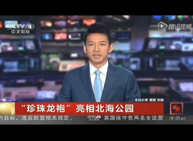 �V�����������磬��������