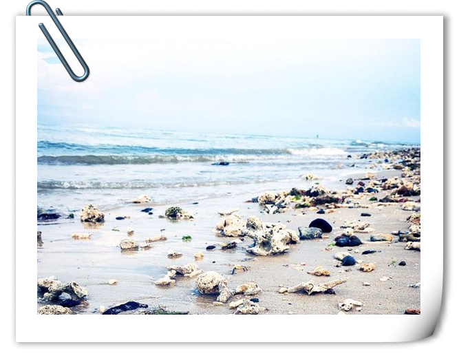 �������ލu���V������������