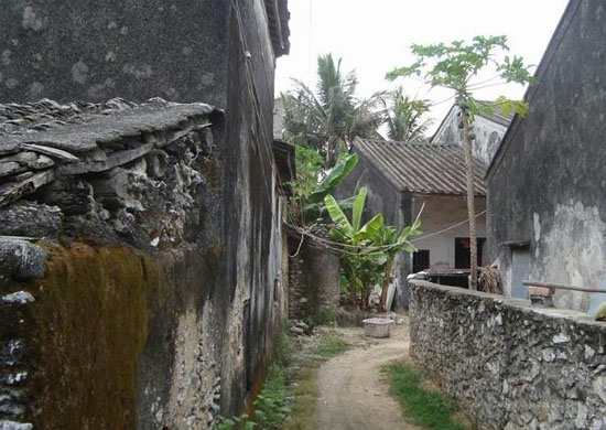 ���ލu��ɺ��ʯ���V������������