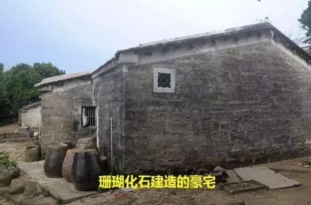 ���ލu��ɺ��ʯ���V������������