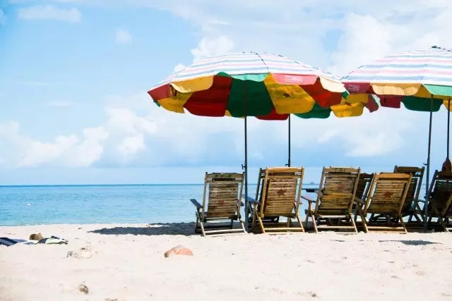 ���ލu�������V������������