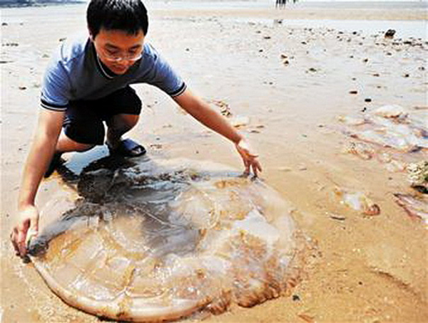 �����������V������������