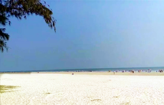 ���������������y�����V������������