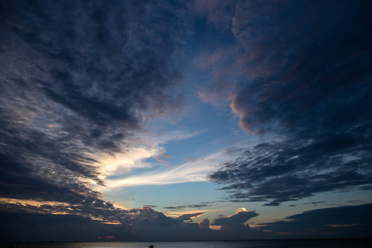 �����������V������������